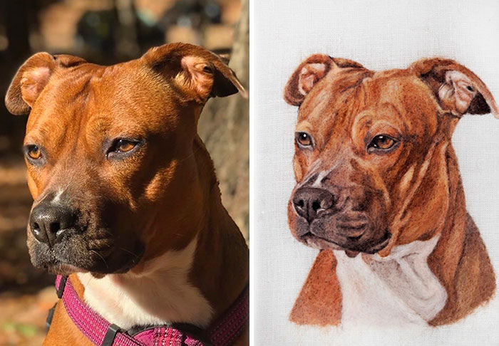 40 Handmade Pet Portraits That Capture Every Fluff And Whisker 40 Handmade Pet Portraits That Capture Every Fluff And Whisker