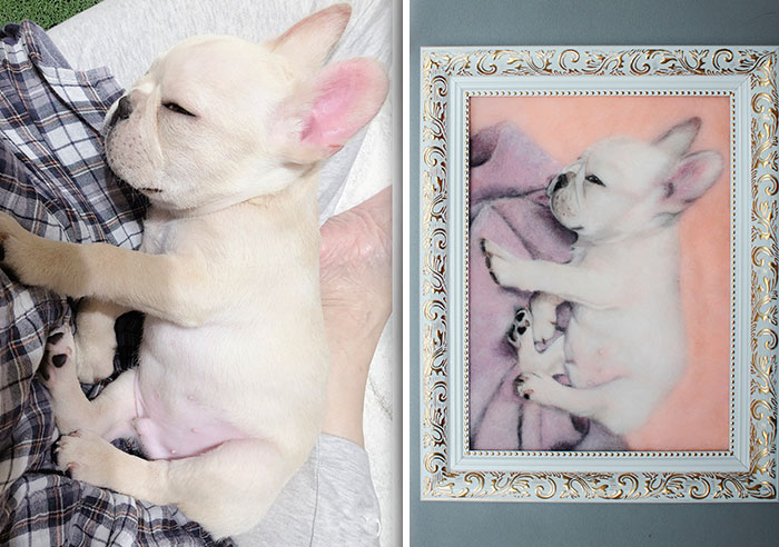 40 Handmade Pet Portraits That Capture Every Fluff And Whisker 40 Handmade Pet Portraits That Capture Every Fluff And Whisker