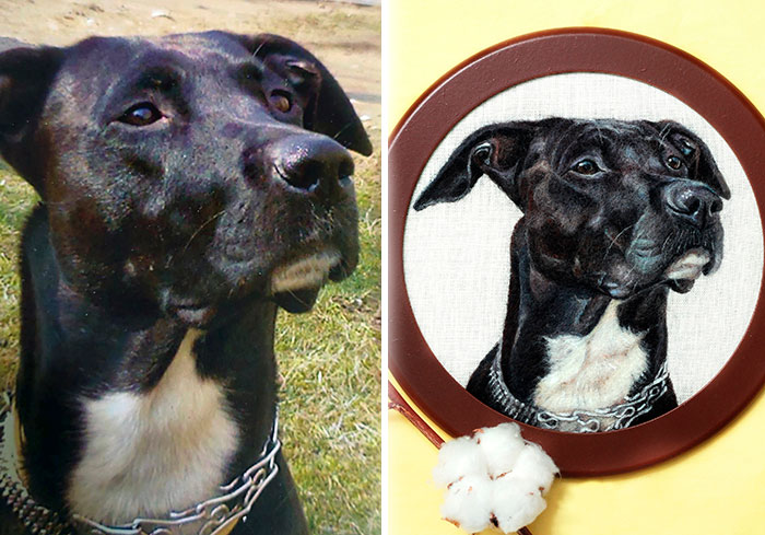 40 Handmade Pet Portraits That Capture Every Fluff And Whisker 40 Handmade Pet Portraits That Capture Every Fluff And Whisker