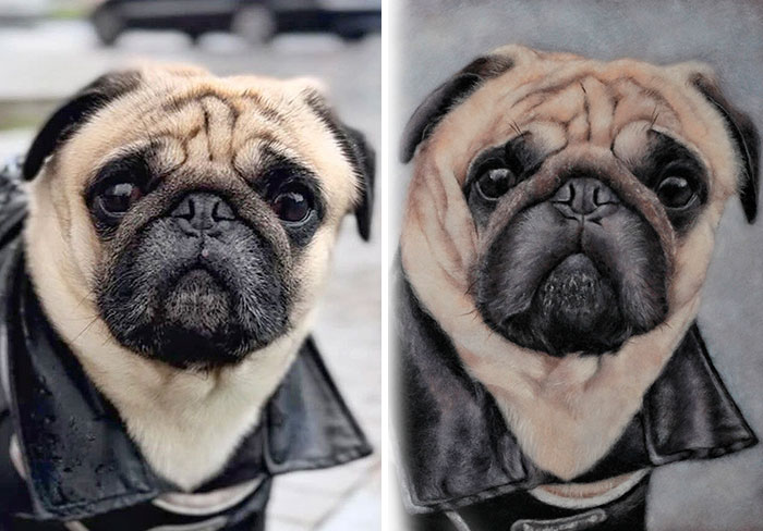 40 Handmade Pet Portraits That Capture Every Fluff And Whisker 40 Handmade Pet Portraits That Capture Every Fluff And Whisker