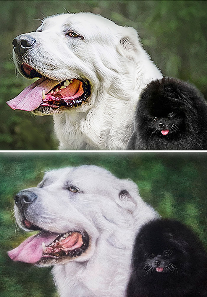 40 Handmade Pet Portraits That Capture Every Fluff And Whisker 40 Handmade Pet Portraits That Capture Every Fluff And Whisker