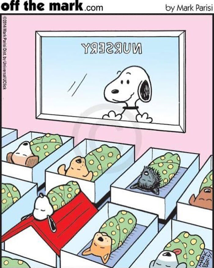 The 30 Best Cartoons By Mark Parisi That Turn Everyday Moments Into Comedy Gold The 30 Best Cartoons By Mark Parisi That Turn Everyday Moments Into Comedy Gold