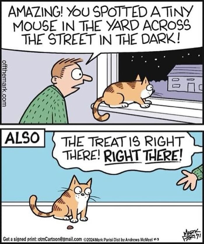 The 30 Best Cartoons By Mark Parisi That Turn Everyday Moments Into Comedy Gold The 30 Best Cartoons By Mark Parisi That Turn Everyday Moments Into Comedy Gold