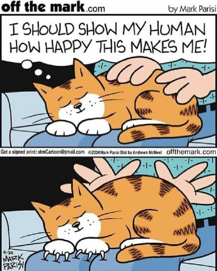 The 30 Best Cartoons By Mark Parisi That Turn Everyday Moments Into Comedy Gold The 30 Best Cartoons By Mark Parisi That Turn Everyday Moments Into Comedy Gold
