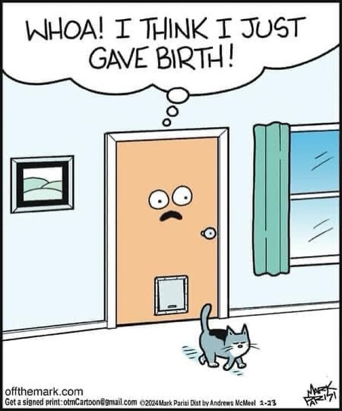 The 30 Best Cartoons By Mark Parisi That Turn Everyday Moments Into Comedy Gold The 30 Best Cartoons By Mark Parisi That Turn Everyday Moments Into Comedy Gold