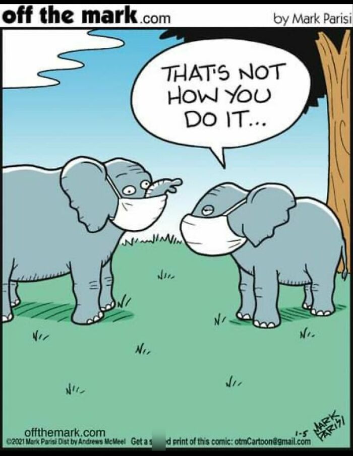 The 30 Best Cartoons By Mark Parisi That Turn Everyday Moments Into Comedy Gold The 30 Best Cartoons By Mark Parisi That Turn Everyday Moments Into Comedy Gold