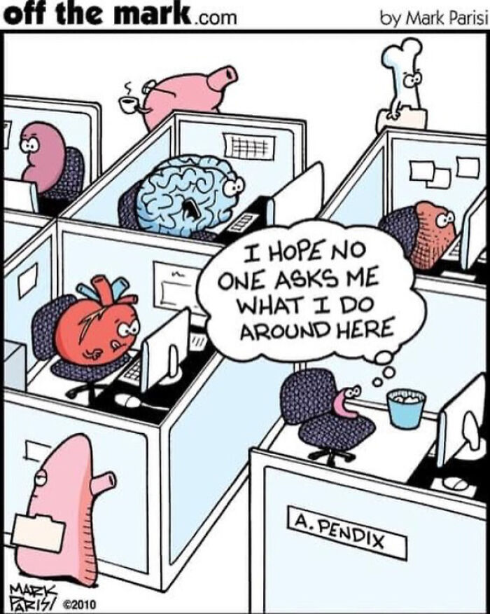 The 30 Best Cartoons By Mark Parisi That Turn Everyday Moments Into Comedy Gold The 30 Best Cartoons By Mark Parisi That Turn Everyday Moments Into Comedy Gold