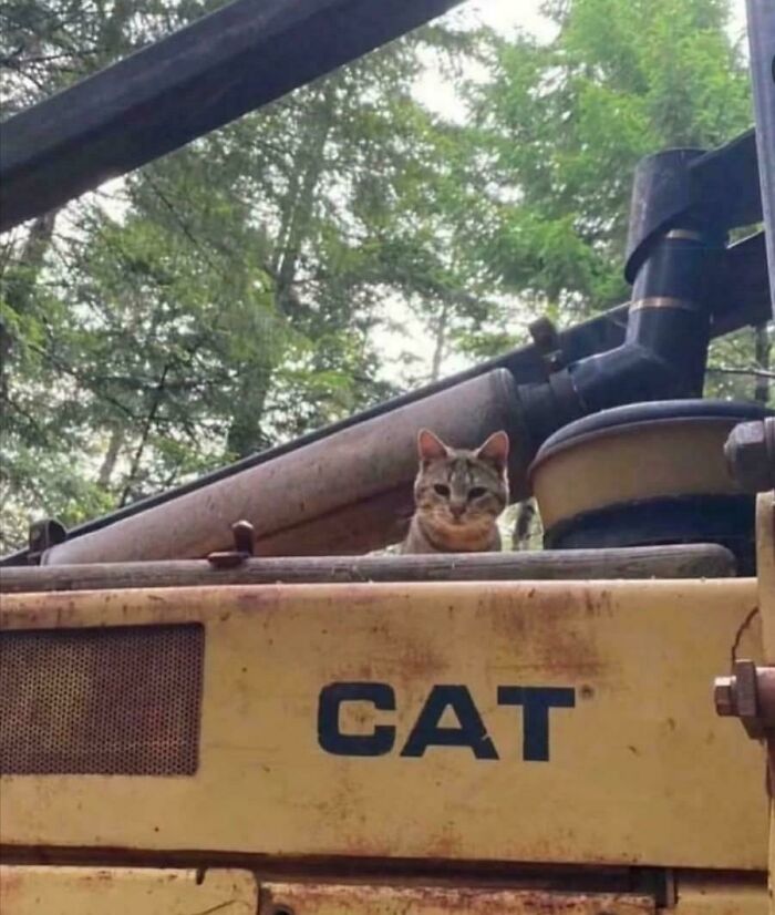 People Are Chuckling At These Pictures That “Go Hard,” So Here Are 80 Of The Very Best People Are Chuckling At These Pictures That “Go Hard,” So Here Are 80 Of The Very Best
