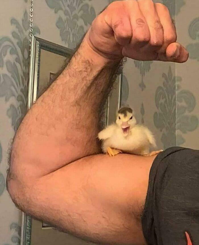 People Are Chuckling At These Pictures That “Go Hard,” So Here Are 80 Of The Very Best People Are Chuckling At These Pictures That “Go Hard,” So Here Are 80 Of The Very Best