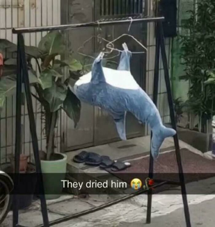 People Are Chuckling At These Pictures That “Go Hard,” So Here Are 80 Of The Very Best People Are Chuckling At These Pictures That “Go Hard,” So Here Are 80 Of The Very Best