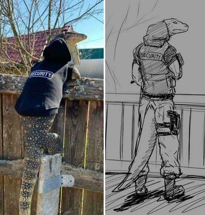 People Are Chuckling At These Pictures That “Go Hard,” So Here Are 80 Of The Very Best People Are Chuckling At These Pictures That “Go Hard,” So Here Are 80 Of The Very Best