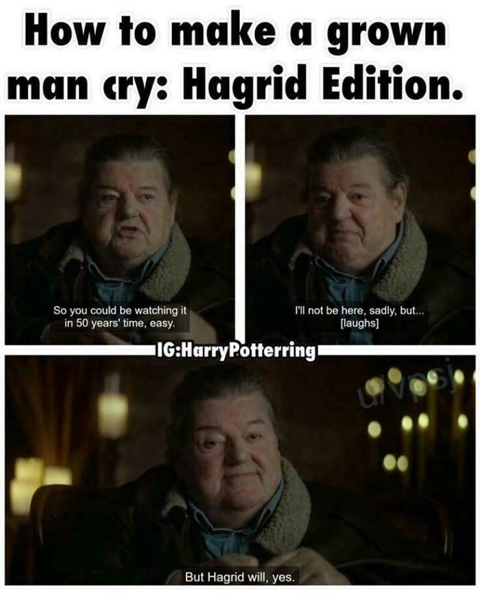 75 Funny Memes About The Wizarding World Of Harry Potter 75 Funny Memes About The Wizarding World Of Harry Potter