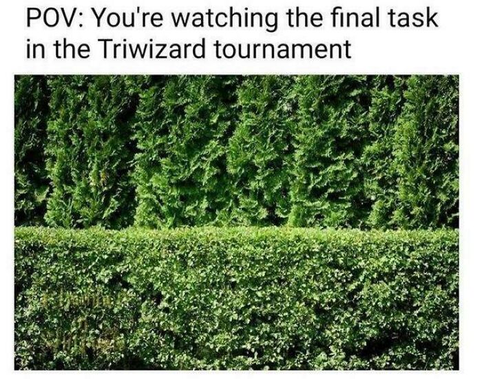 75 Funny Memes About The Wizarding World Of Harry Potter 75 Funny Memes About The Wizarding World Of Harry Potter