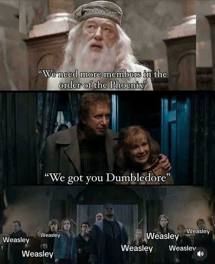 75 Funny Memes About The Wizarding World Of Harry Potter 75 Funny Memes About The Wizarding World Of Harry Potter