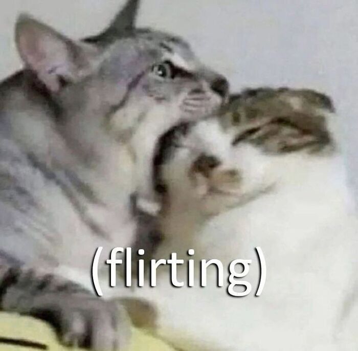59 Random Memes, Shared On “Posts That Hit Different At 3AM” 59 Random Memes, Shared On “Posts That Hit Different At 3AM”