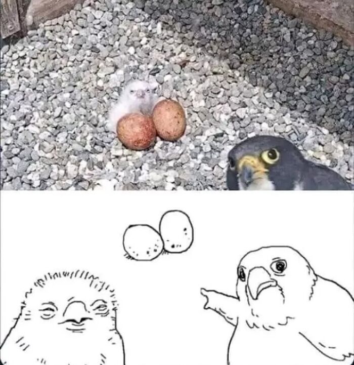 59 Random Memes, Shared On “Posts That Hit Different At 3AM” 59 Random Memes, Shared On “Posts That Hit Different At 3AM”