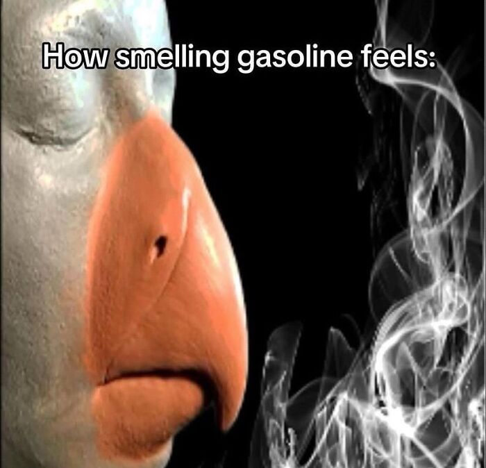 59 Random Memes, Shared On “Posts That Hit Different At 3AM” 59 Random Memes, Shared On “Posts That Hit Different At 3AM”