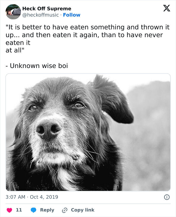 80 Funny Dog Memes For Anyone Who Has A Dog Or Just Wants A Good Laugh 80 Funny Dog Memes For Anyone Who Has A Dog Or Just Wants A Good Laugh