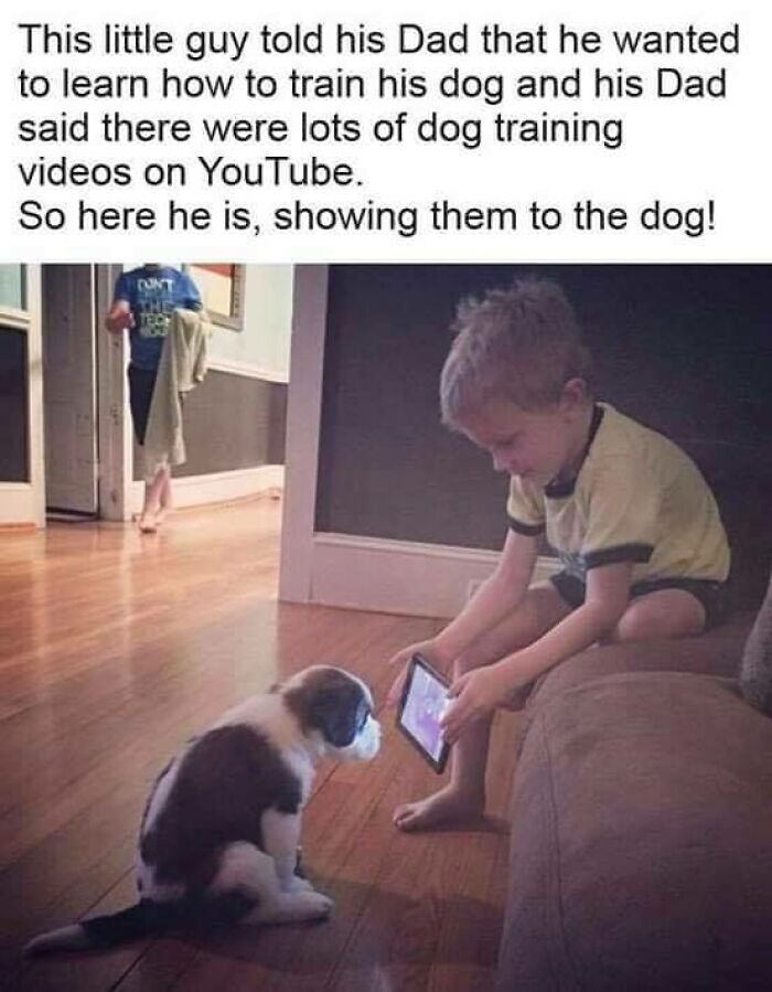 80 Funny Dog Memes For Anyone Who Has A Dog Or Just Wants A Good Laugh 80 Funny Dog Memes For Anyone Who Has A Dog Or Just Wants A Good Laugh