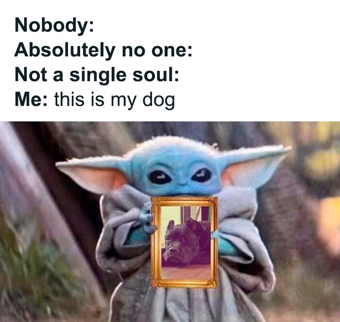 80 Funny Dog Memes For Anyone Who Has A Dog Or Just Wants A Good Laugh 80 Funny Dog Memes For Anyone Who Has A Dog Or Just Wants A Good Laugh