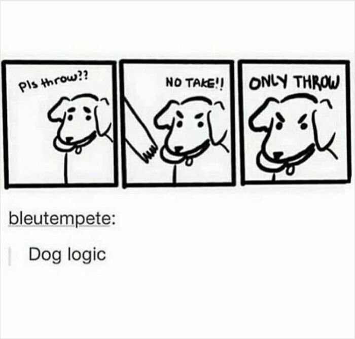 80 Funny Dog Memes For Anyone Who Has A Dog Or Just Wants A Good Laugh 80 Funny Dog Memes For Anyone Who Has A Dog Or Just Wants A Good Laugh