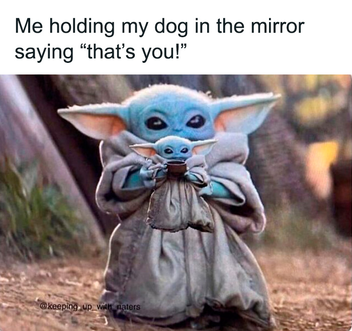 80 Funny Dog Memes For Anyone Who Has A Dog Or Just Wants A Good Laugh 80 Funny Dog Memes For Anyone Who Has A Dog Or Just Wants A Good Laugh