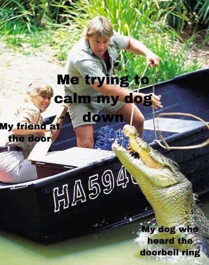 80 Funny Dog Memes For Anyone Who Has A Dog Or Just Wants A Good Laugh 80 Funny Dog Memes For Anyone Who Has A Dog Or Just Wants A Good Laugh