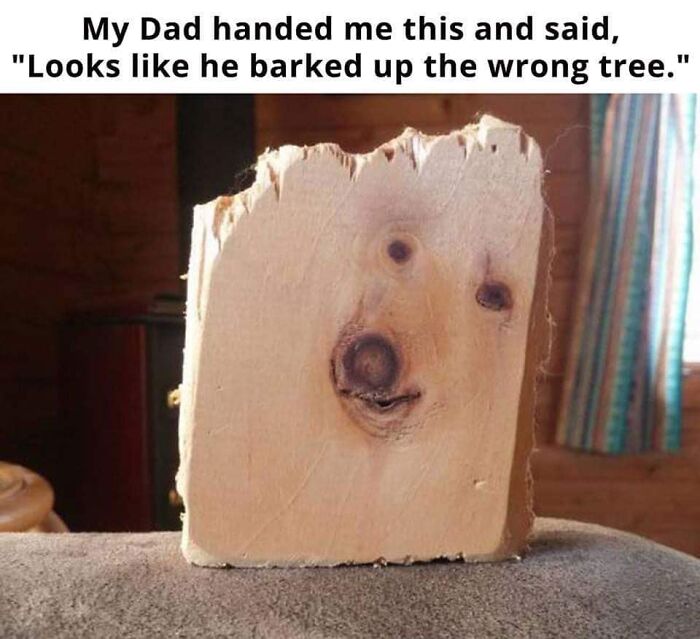 80 Funny Dog Memes For Anyone Who Has A Dog Or Just Wants A Good Laugh 80 Funny Dog Memes For Anyone Who Has A Dog Or Just Wants A Good Laugh