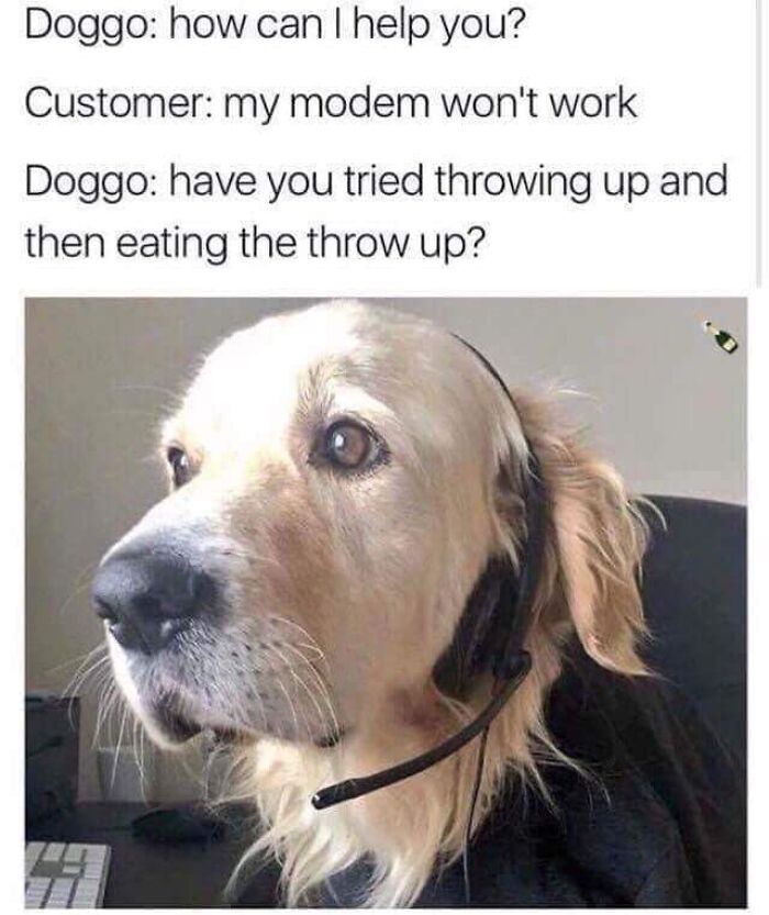 80 Funny Dog Memes For Anyone Who Has A Dog Or Just Wants A Good Laugh 80 Funny Dog Memes For Anyone Who Has A Dog Or Just Wants A Good Laugh