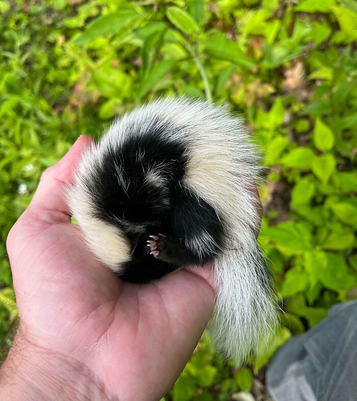 The Only Appropriate Reaction To These 115 Cute Baby Animal Pics Is “Aww” The Only Appropriate Reaction To These 115 Cute Baby Animal Pics Is “Aww”