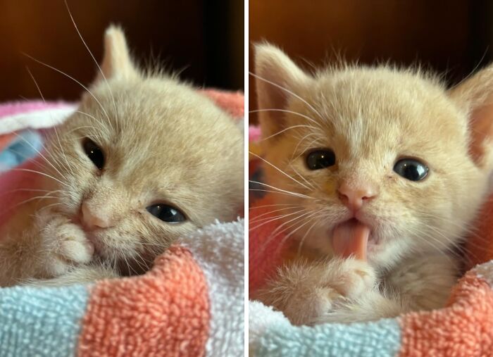 The Only Appropriate Reaction To These 115 Cute Baby Animal Pics Is “Aww” The Only Appropriate Reaction To These 115 Cute Baby Animal Pics Is “Aww”
