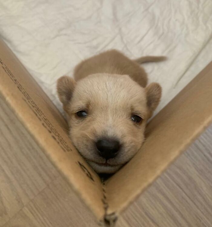 The Only Appropriate Reaction To These 115 Cute Baby Animal Pics Is “Aww” The Only Appropriate Reaction To These 115 Cute Baby Animal Pics Is “Aww”