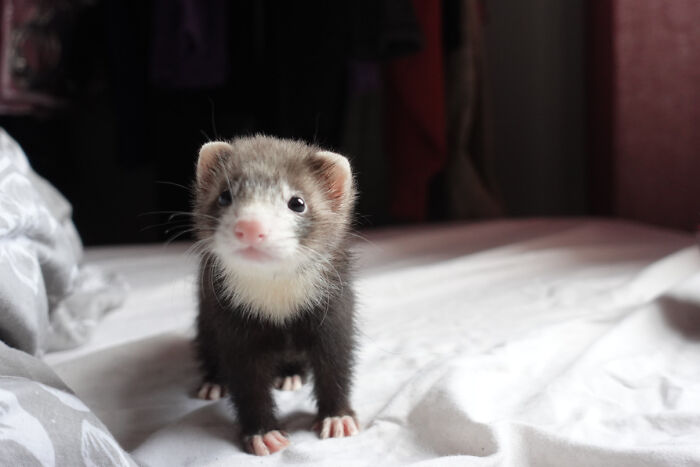 The Only Appropriate Reaction To These 115 Cute Baby Animal Pics Is “Aww” The Only Appropriate Reaction To These 115 Cute Baby Animal Pics Is “Aww”
