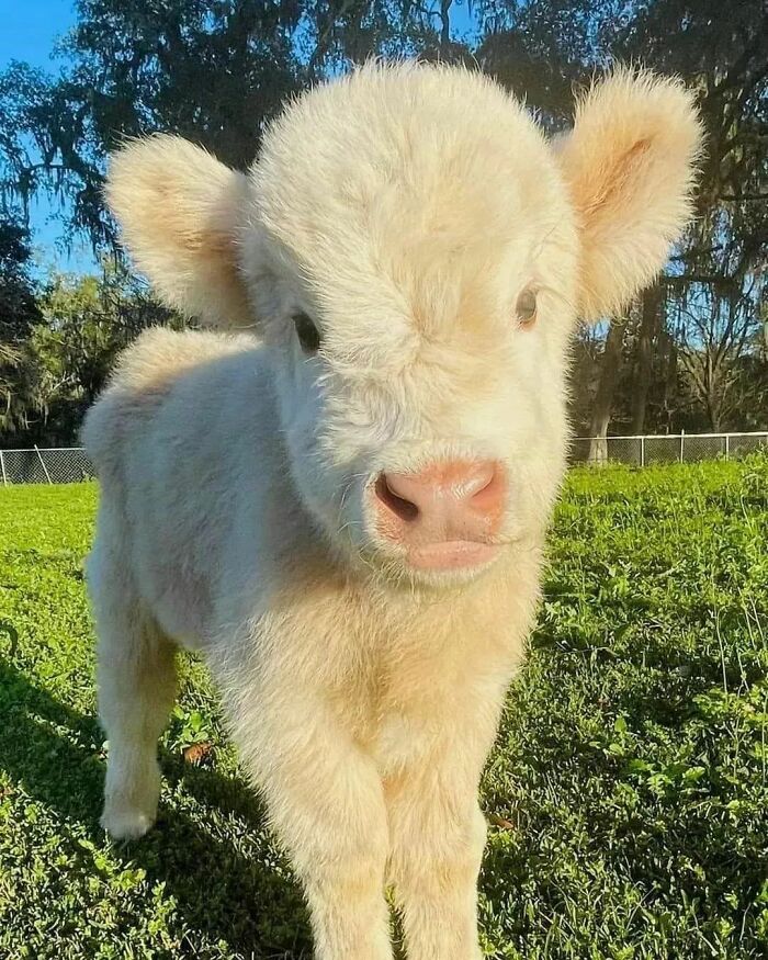 The Only Appropriate Reaction To These 115 Cute Baby Animal Pics Is “Aww” The Only Appropriate Reaction To These 115 Cute Baby Animal Pics Is “Aww”
