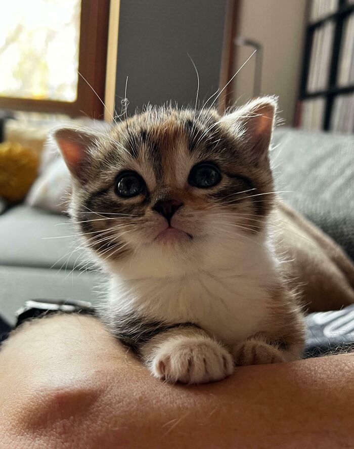 The Only Appropriate Reaction To These 115 Cute Baby Animal Pics Is “Aww” The Only Appropriate Reaction To These 115 Cute Baby Animal Pics Is “Aww”