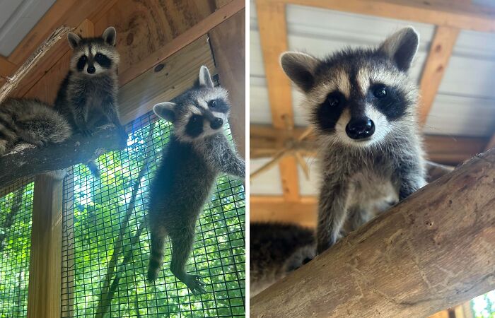 The Only Appropriate Reaction To These 115 Cute Baby Animal Pics Is “Aww” The Only Appropriate Reaction To These 115 Cute Baby Animal Pics Is “Aww”