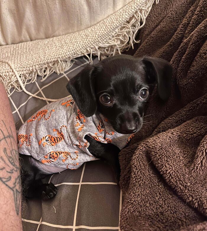 The Only Appropriate Reaction To These 115 Cute Baby Animal Pics Is “Aww” The Only Appropriate Reaction To These 115 Cute Baby Animal Pics Is “Aww”