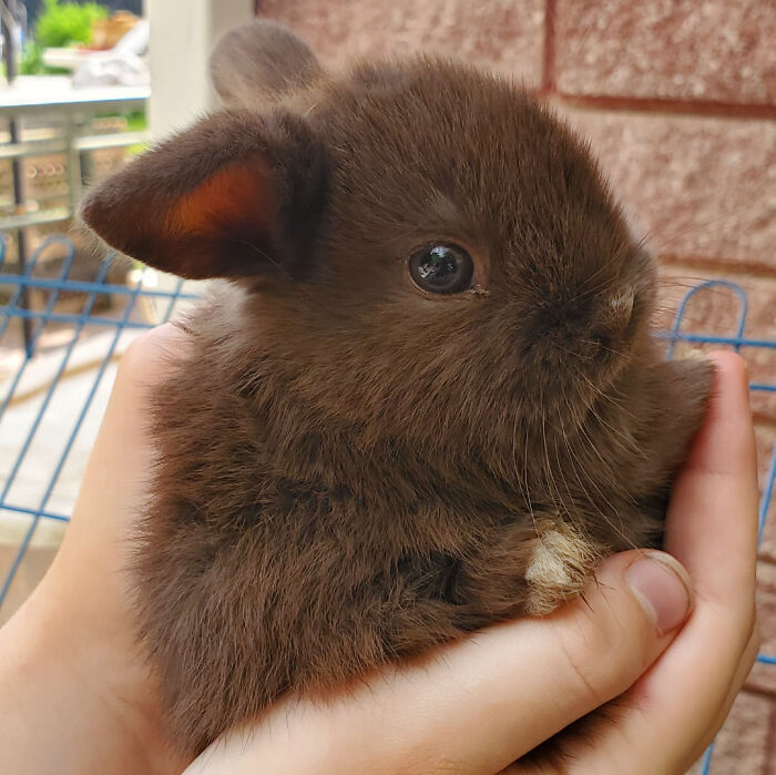 The Only Appropriate Reaction To These 115 Cute Baby Animal Pics Is “Aww” The Only Appropriate Reaction To These 115 Cute Baby Animal Pics Is “Aww”