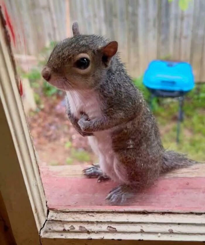 The Only Appropriate Reaction To These 115 Cute Baby Animal Pics Is “Aww” The Only Appropriate Reaction To These 115 Cute Baby Animal Pics Is “Aww”