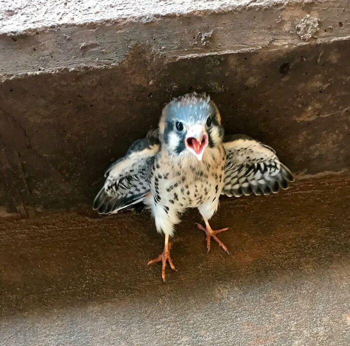 The Only Appropriate Reaction To These 115 Cute Baby Animal Pics Is “Aww” The Only Appropriate Reaction To These 115 Cute Baby Animal Pics Is “Aww”