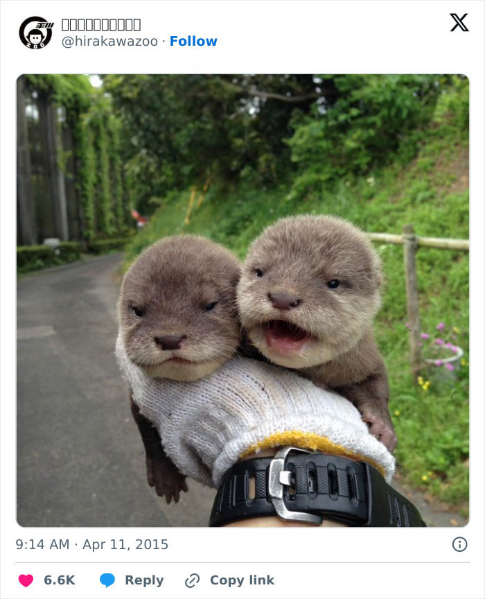 The Only Appropriate Reaction To These 115 Cute Baby Animal Pics Is “Aww” The Only Appropriate Reaction To These 115 Cute Baby Animal Pics Is “Aww”