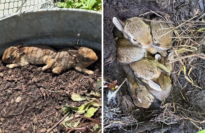 The Only Appropriate Reaction To These 115 Cute Baby Animal Pics Is “Aww” The Only Appropriate Reaction To These 115 Cute Baby Animal Pics Is “Aww”