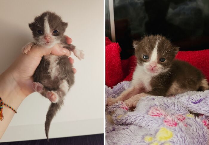 The Only Appropriate Reaction To These 115 Cute Baby Animal Pics Is “Aww” The Only Appropriate Reaction To These 115 Cute Baby Animal Pics Is “Aww”