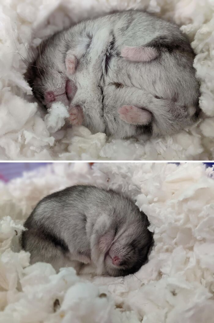 The Only Appropriate Reaction To These 115 Cute Baby Animal Pics Is “Aww” The Only Appropriate Reaction To These 115 Cute Baby Animal Pics Is “Aww”