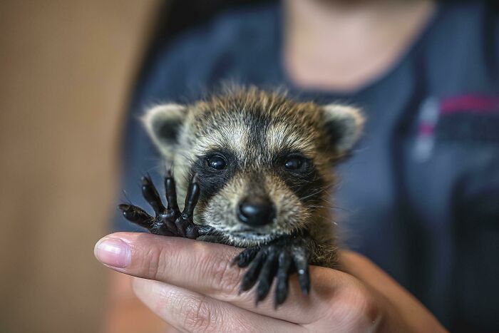 The Only Appropriate Reaction To These 115 Cute Baby Animal Pics Is “Aww” The Only Appropriate Reaction To These 115 Cute Baby Animal Pics Is “Aww”