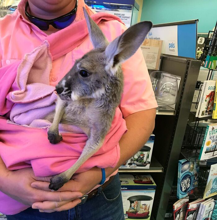 The Only Appropriate Reaction To These 115 Cute Baby Animal Pics Is “Aww” The Only Appropriate Reaction To These 115 Cute Baby Animal Pics Is “Aww”