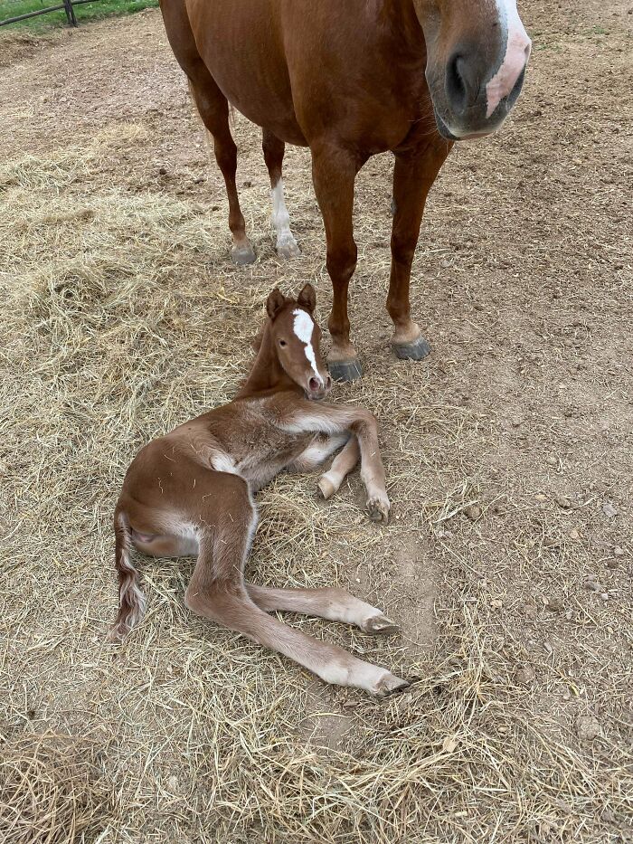 The Only Appropriate Reaction To These 115 Cute Baby Animal Pics Is “Aww” The Only Appropriate Reaction To These 115 Cute Baby Animal Pics Is “Aww”