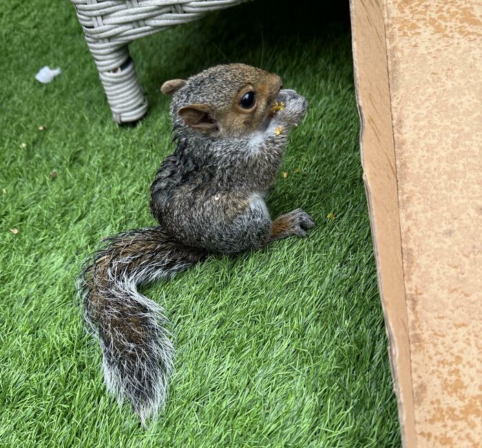 The Only Appropriate Reaction To These 115 Cute Baby Animal Pics Is “Aww” The Only Appropriate Reaction To These 115 Cute Baby Animal Pics Is “Aww”