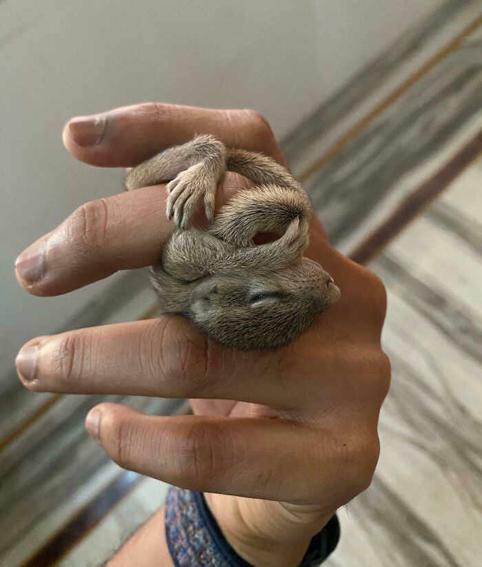 The Only Appropriate Reaction To These 115 Cute Baby Animal Pics Is “Aww” The Only Appropriate Reaction To These 115 Cute Baby Animal Pics Is “Aww”