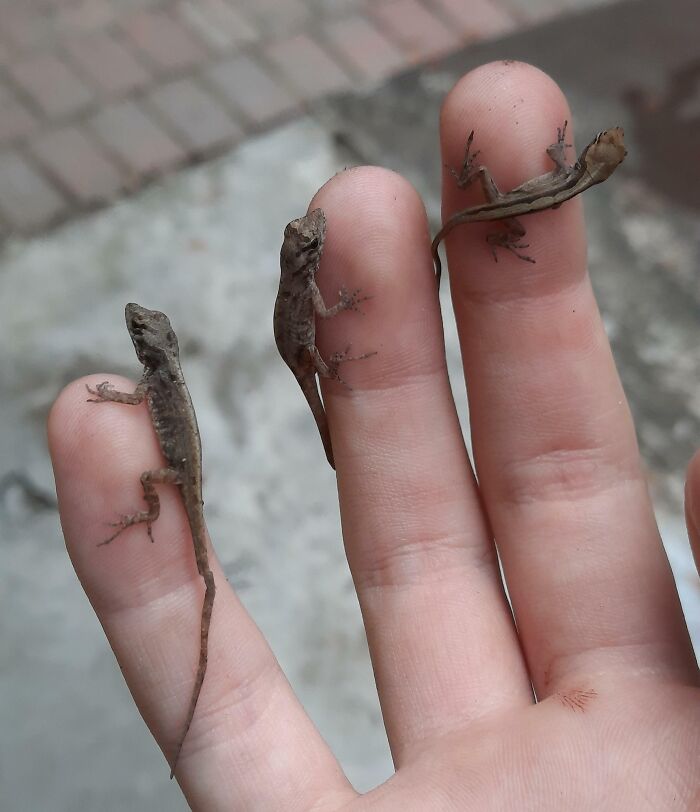 The Only Appropriate Reaction To These 115 Cute Baby Animal Pics Is “Aww” The Only Appropriate Reaction To These 115 Cute Baby Animal Pics Is “Aww”